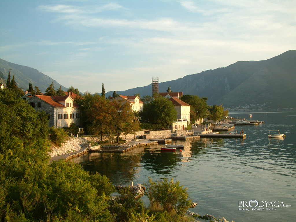 Kotor